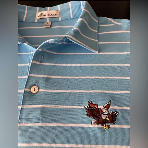 PETER MILLAR Striped Blue Dbl Eagle Club Golf Polo Mens sz L - Picture 7 of 9